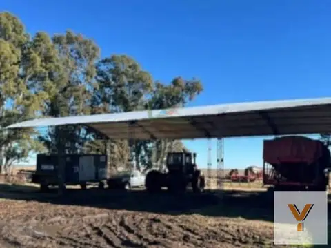 Campo en venta - 1.003 Hectáreas - Tres Arroyos