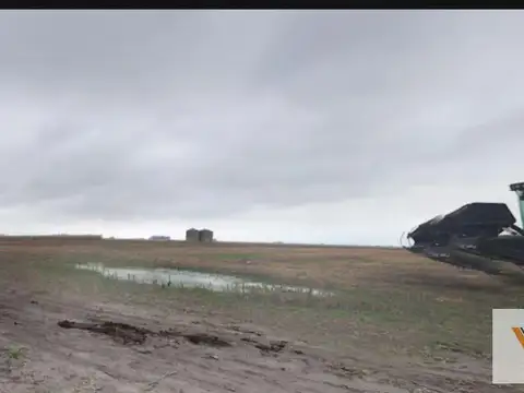 Campo en venta - 1.003 Hectáreas - Tres Arroyos