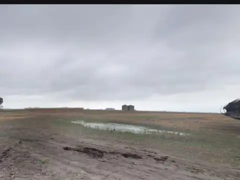 Campo en venta - 1.003 Hectáreas - Tres Arroyos