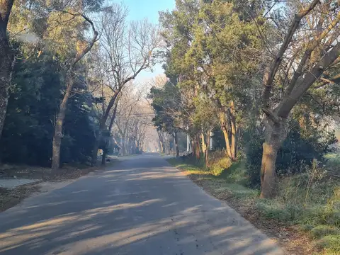 Terrenos y Lotes en Venta en City Bell [Cod: 522]