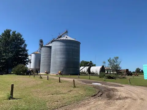 Campo en Venta Agrícola
