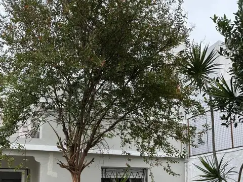 Sarratea 3300