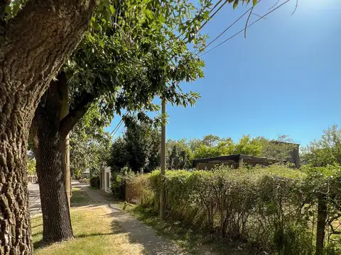 Terreno en Alquiler 25  mts Fondo