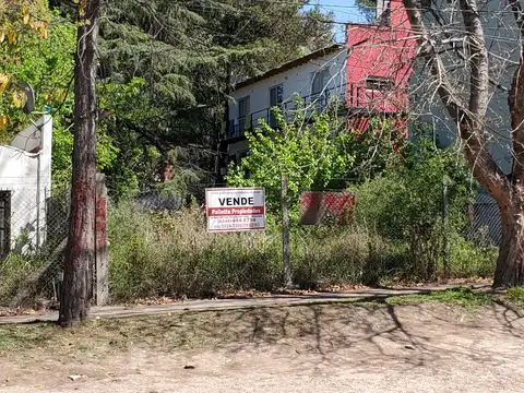 Lote comercial · 390 m2 · Av. Perón, Benavidez · Pallotta Propiedades