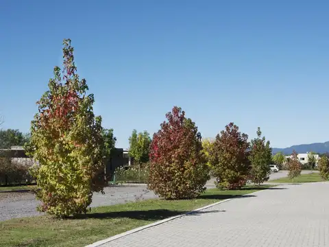 Terreno en Venta de 1402,0 m2