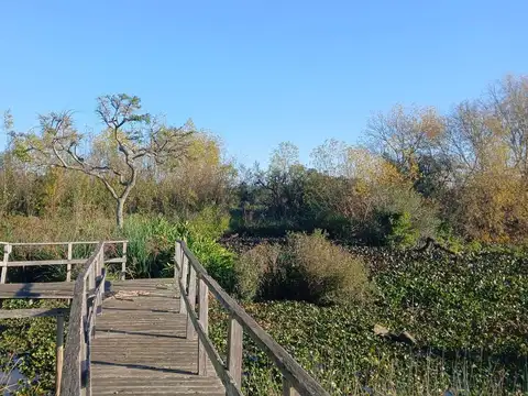 Isla del Delta Seccion  1