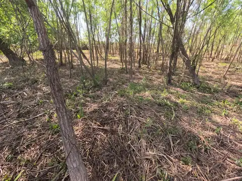 Venta | Terreno en Zona Delta | Tigre | Isla | Lote | Financiación
