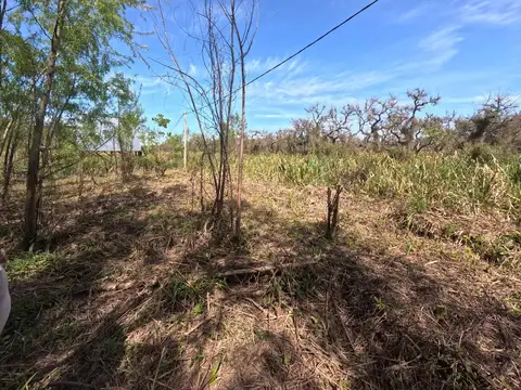 Isla del Delta Seccion  1