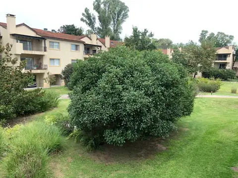 North Ville Tortugas Norte .