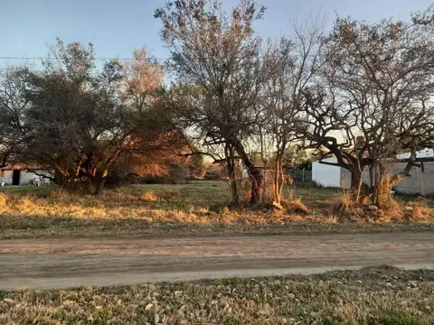 Malvinas Argentinas Sauce Viejo 1900