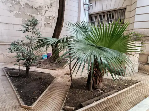 Departamento en Alquiler de 5 ambientes