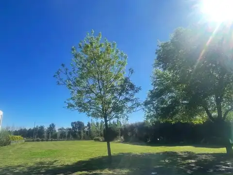 Terreno en Venta de 1070,0 m2