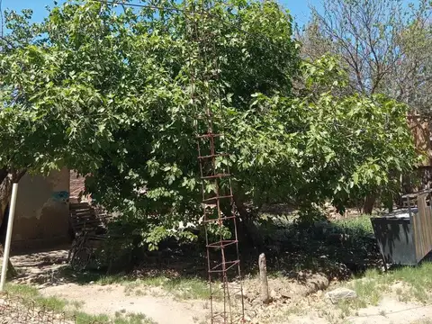 Terreno en Venta de 311,0 m2