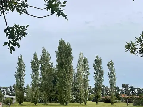 Terreno en Venta de 1198,0 m2