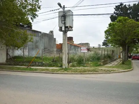 Libres del sur 500
