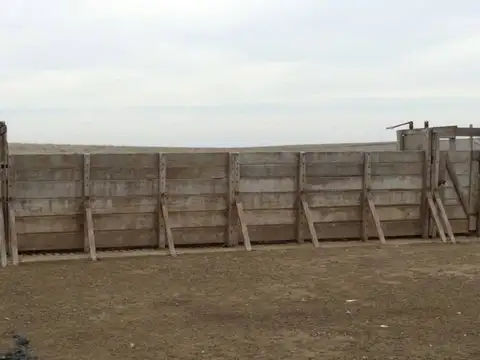 Casa Campo  en Venta en Bernasconi, Hucal, La Pampa - BLA5678_LP573150_3