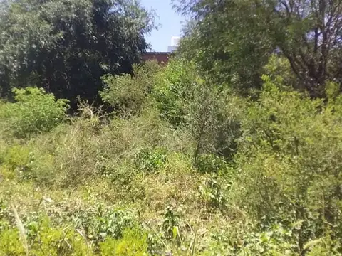 Terreno en Venta de 830,0 m2