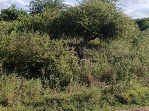 Terreno en Venta en Villa Parque Siquiman, USD 12.500