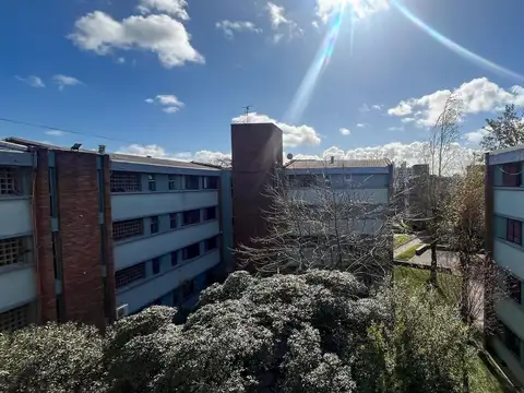 Departamento en Alquiler en Buceo, $U 32.000