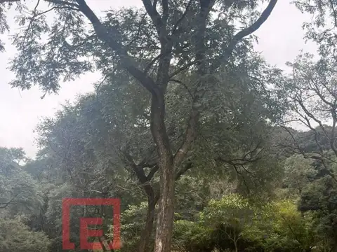 Terreno en Venta de 2000,0 m2