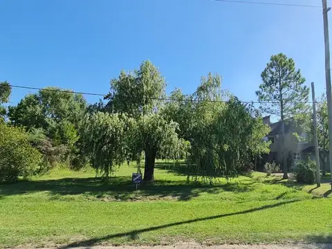 Isla 1, calle central