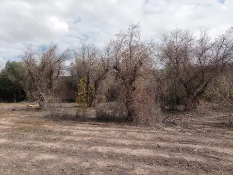 Terreno en Venta de 2030,0 m2