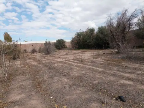 Julio Argentino Roca 4400