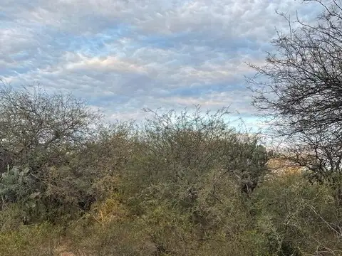 Terreno en Venta de 1700000,0 m2