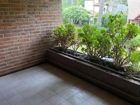 De Las Pleyades e/ De Las Ninfas y Las Silfides