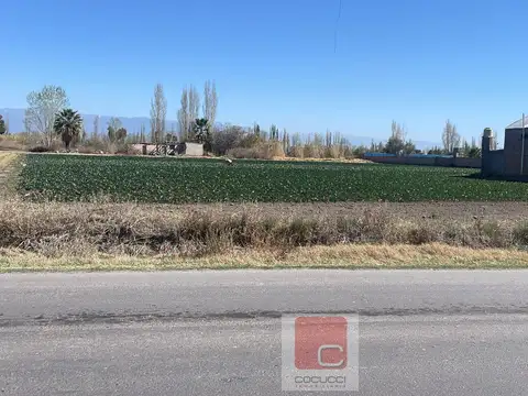 Cocucci vende Terreno en  Kilometro 8