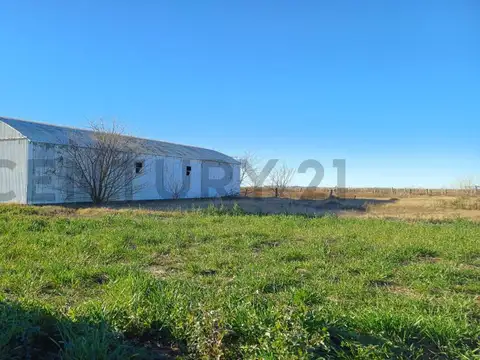 Campo Mixto en Cañada de Los Leones