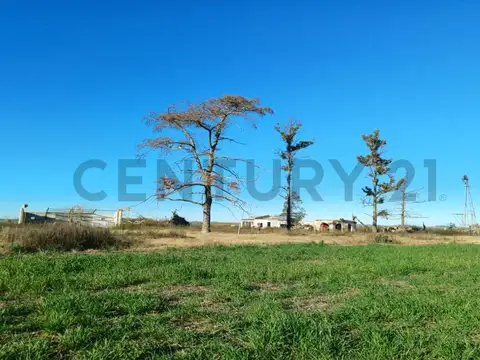 Cañada Los Leones , Piso 0
