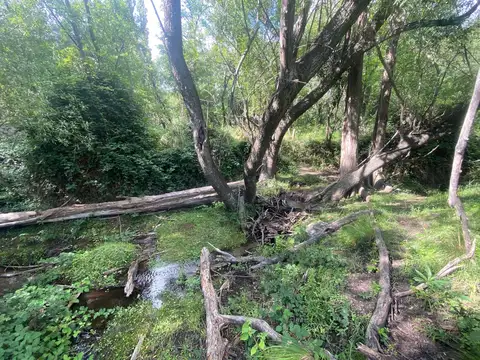 Terreno en Venta 440  mts Fondo