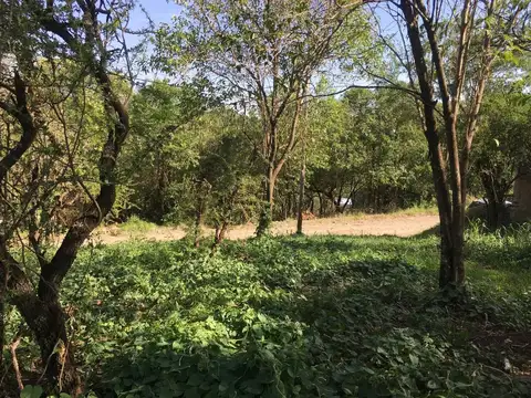 VENDO TERRENO RIO CEBALLOS BARRIO LA LUCINDA- ESCRITURA
