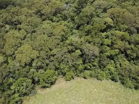 Paraje La Invernada