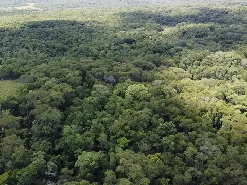 CHACRA EN CERRO CORA 22 HAS