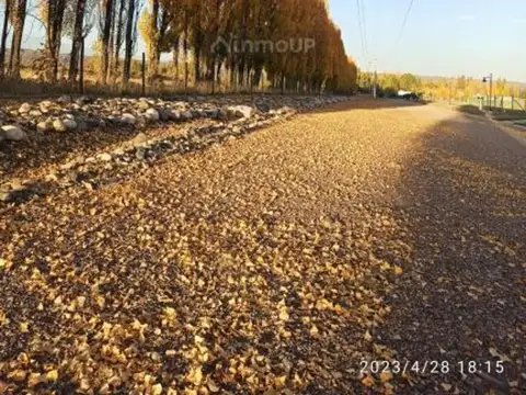 Terreno en Venta en San Jose de Tupungato, USD 30.000