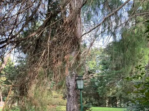 Terrenos en venta en Almirante Irizar