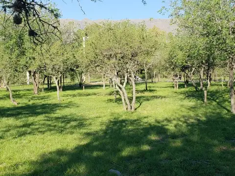 Terreno en Venta, FOS 30