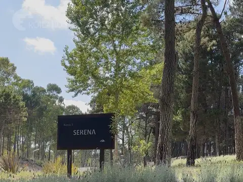 Ruta 11 Km  al 300