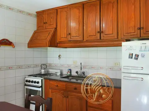 Sanavirón al 100