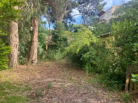 Terreno en Venta 20  mts Frente