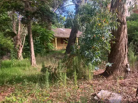 Excelente lote multifamiliar en excelente zona de Gesell