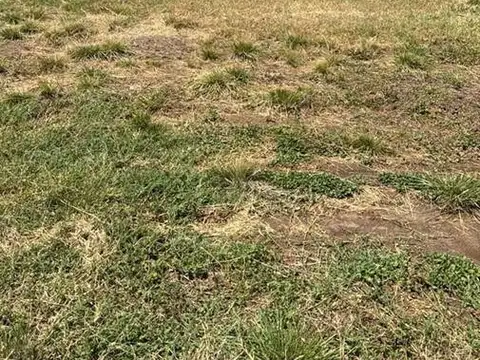 Terreno en Venta en Countries y Barrios Cerrados en Pilar, USD 155.000