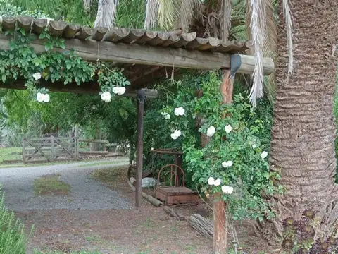 Casa en Alquiler al Noreste