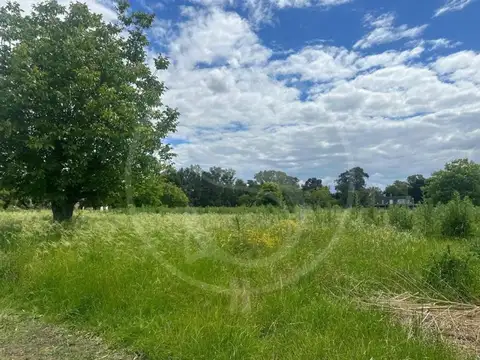 CAMPO 2 HECTAREAS KM 95 SAN ANDRES DE GILES