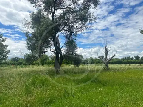 CAMPO 2 HECTAREAS KM 95 SAN ANDRES DE GILES