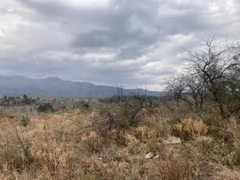 Terreno en Venta de 19686,0 m2