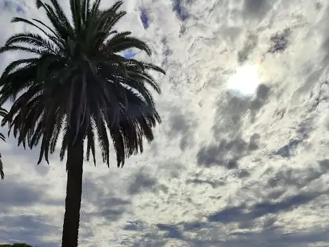 Terreno lote en La Isla Nordelta