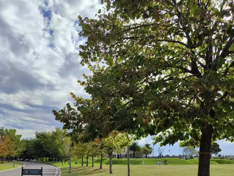 Exclusivo Lote en La Isla Nordelta